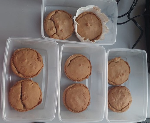Plant polar lipid-enriched food prototypes prepared for the MSc study